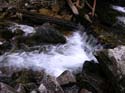 Priest Lake Area Photographs (682)