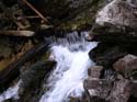 Priest Lake Area Photographs (683)