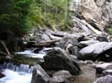 Priest Lake Area Photographs (686)