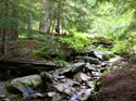 Priest Lake Area Photographs (687)