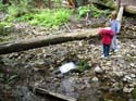Priest Lake Area Photographs (688)