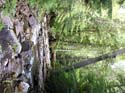 Priest Lake Area Photographs (689)