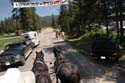 Priest Lake Area Photographs (69)