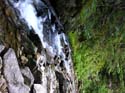 Priest Lake Area Photographs (690)