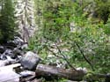 Priest Lake Area Photographs (692)