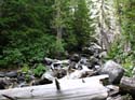 Priest Lake Area Photographs (693)