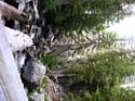 Priest Lake Area Photographs (694)