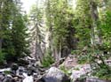 Priest Lake Area Photographs (695)