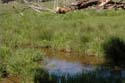 Priest Lake Area Photographs (7)