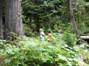 Priest Lake Area Photographs (700)