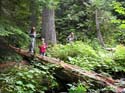 Priest Lake Area Photographs (701)
