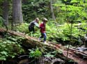 Priest Lake Area Photographs (703)