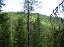 Priest Lake Area Photographs (705)