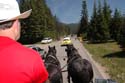 Priest Lake Area Photographs (71)