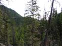 Priest Lake Area Photographs (720)