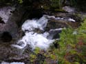 Priest Lake Area Photographs (722)