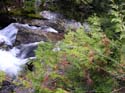 Priest Lake Area Photographs (724)