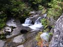 Priest Lake Area Photographs (729)