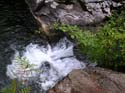 Priest Lake Area Photographs (730)