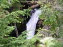 Priest Lake Area Photographs (739)