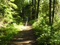 Priest Lake Area Photographs (743)