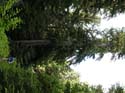 Priest Lake Area Photographs (750)