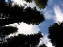 Priest Lake Area Photographs (754)