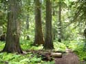 Priest Lake Area Photographs (758)