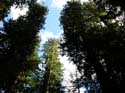 Priest Lake Area Photographs (759)