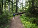 Priest Lake Area Photographs (769)