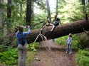 Priest Lake Area Photographs (771)