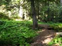 Priest Lake Area Photographs (781)