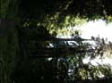 Priest Lake Area Photographs (787)