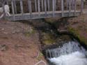Priest Lake Area Photographs (802)