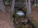 Priest Lake Area Photographs (804)