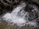Priest Lake Area Photographs (808)