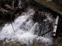 Priest Lake Area Photographs (809)