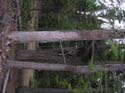 Priest Lake Area Photographs (815)