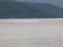 Priest Lake Area Photographs (874)