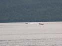 Priest Lake Area Photographs (875)