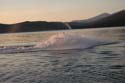 Priest Lake Area Photographs (88)