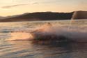 Priest Lake Area Photographs (89)