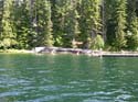 Priest Lake Area Photographs (891)