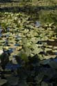 Priest Lake Area Photographs (9)