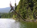 Priest Lake Area Photographs (915)