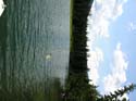 Priest Lake Area Photographs (921)