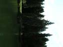 Priest Lake Area Photographs (929)