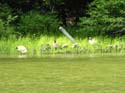 Priest Lake Area Photographs (935)