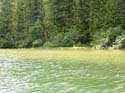 Priest Lake Area Photographs (936)