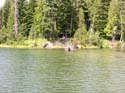 Priest Lake Area Photographs (938)
